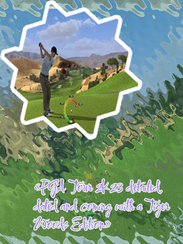 Tiger woods golf game